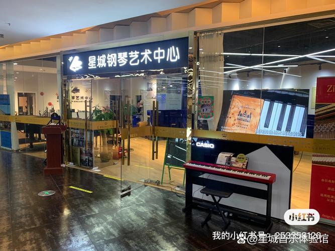 寒假公益电子琴小组课｜零基础7天入门，星城钢琴艺术空间邀你共赴音乐之旅